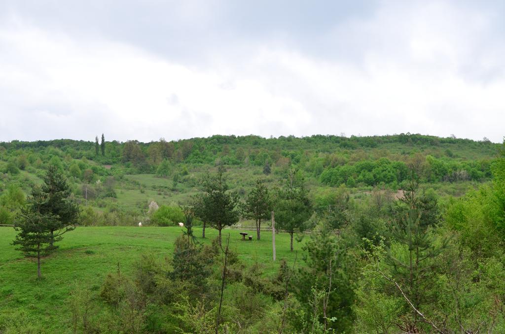Apartments Fairy Land Rakovica Bagian luar foto