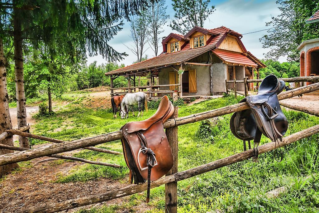 Apartments Fairy Land Rakovica Bagian luar foto