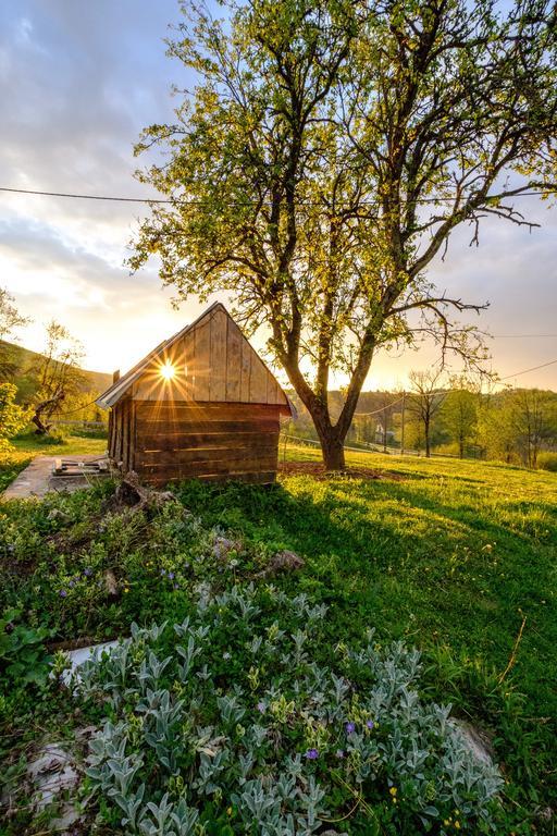Apartments Fairy Land Rakovica Bagian luar foto